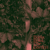 Basia Bulat - the Garden (Vinyl 2LP)