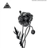 Ancient Shapes - A Flower That Wouldn&#39;t Bloom (Vinyl LP)