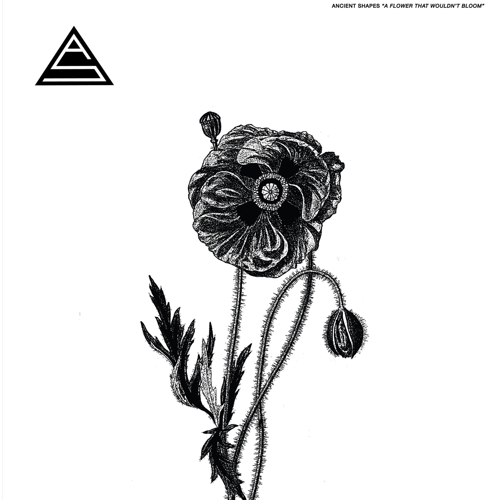 Ancient Shapes - A Flower That Wouldn't Bloom (Vinyl LP)