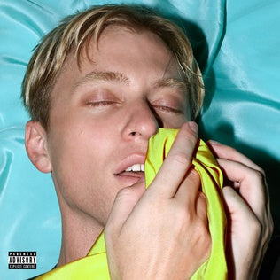 The Drums - Brutalism (Vinyl LP)