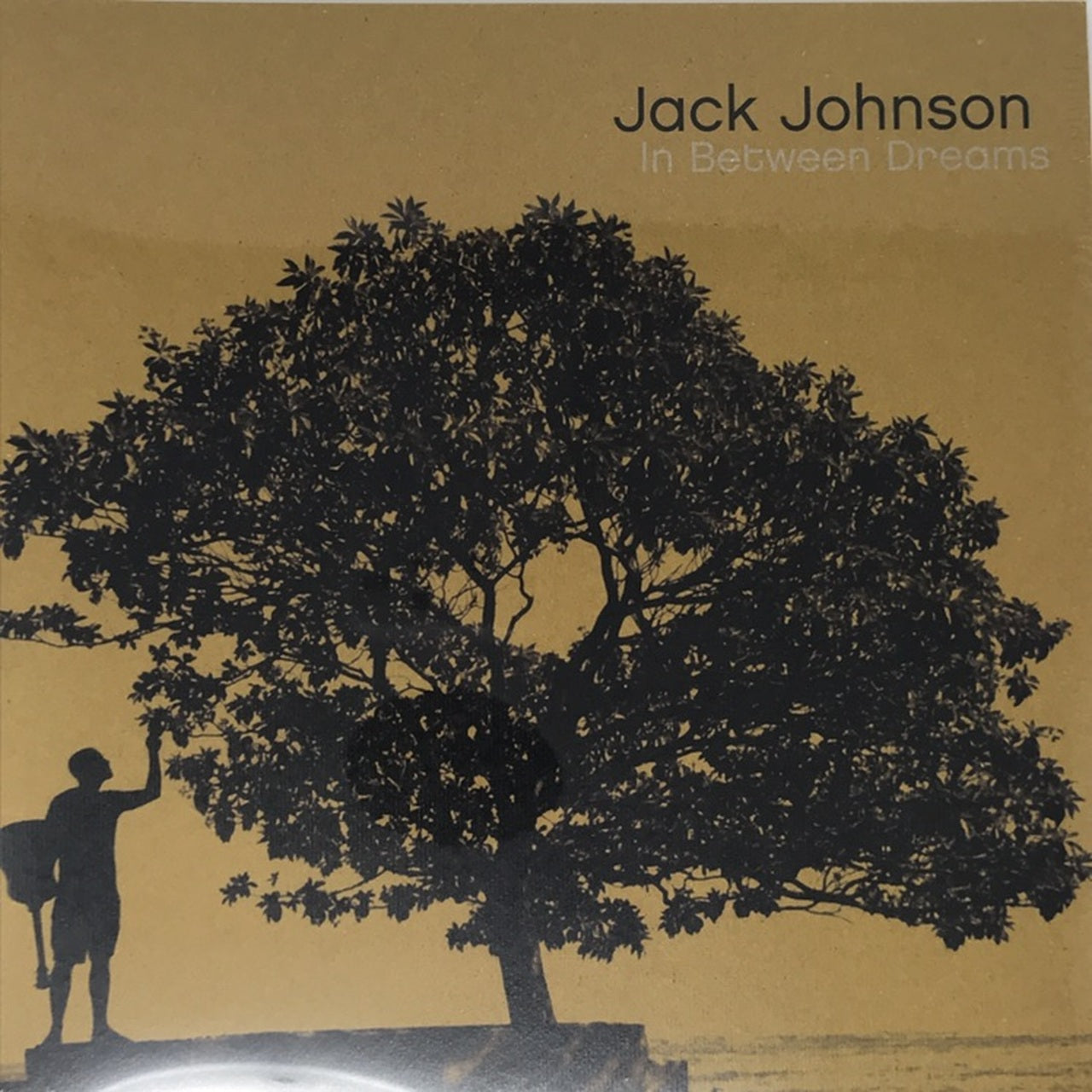 Jack Johnson - In Between Dreams (Vinyl LP) - Alleycats Music