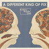 Bombay Bicycle Club - A Different Kind Of Fix (Vinyl LP Record)