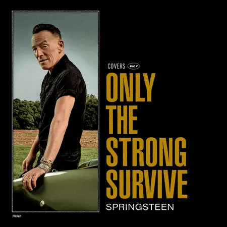 Bruce Springsteen - Only the Strong Survive (Vinyl Orange 2LP)