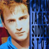 Colin James - Sudden Stop (Vinyl LP Record)