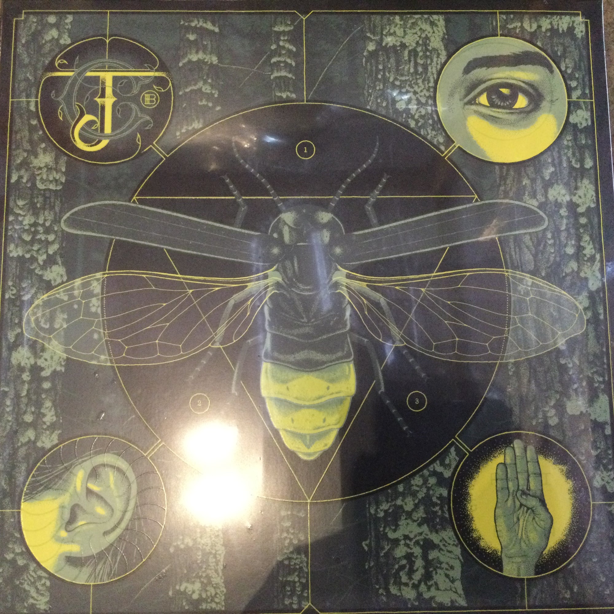 Jerry Cantrell - Brighten (Vinyl LP)