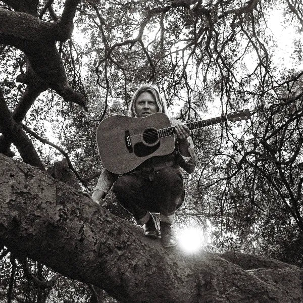 Ty Segall - "Hello, Hi" (Vinyl LP)