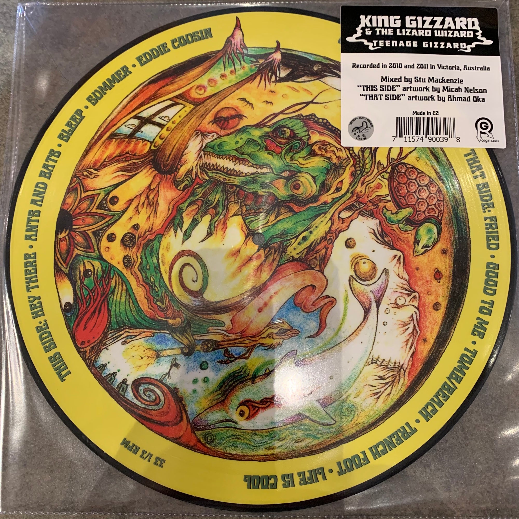 King Gizzard and the Lizard Wizard - Teenage Gizzard (Vinyl Picture Disc)