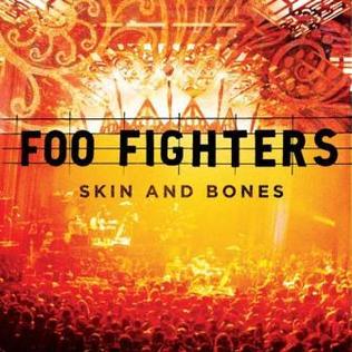 Foo Fighters - Skin And Bones (Vinyl 2LP)