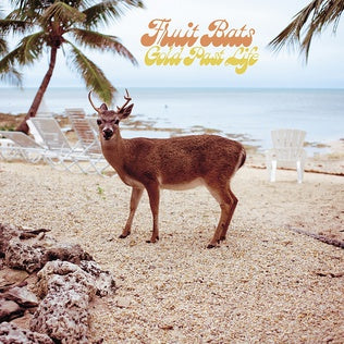 Fruit Bats - Gold Past Life (Vinyl LP)