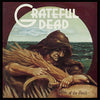 Grateful Dead - Wake of the Flood (Vinyl LP)