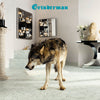 Grinderman - Grinderman 2 (Vinyl LP)