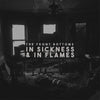 Front Bottoms - In Sickness &amp; In Flames (Vinyl LP)