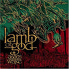 Lamb of God - ashes of the wake (Vinyl LP Record)