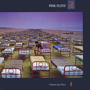 Pink Floyd - A Momentary Lapse Of Reason (Vinyl LP)