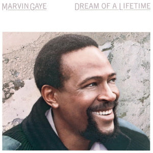 Marvin Gaye - Dream of a Lifetime (Vinyl LP)