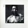 Muddy Waters - After the Rain (Vinyl LP)