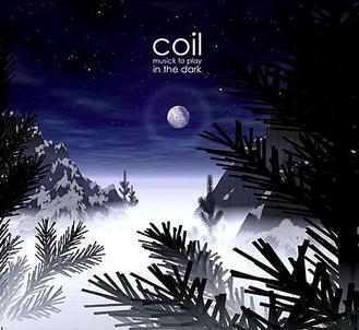 Coil - musick to play in the dark (Vinyl 2LP Record)