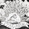 Ryan Adams &amp; the Cardinals - Cardinology (Vinyl LP)