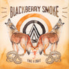 Blackberry Smoke -Find A Light (Vinyl 2LP)