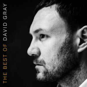 David Gray - The Best Of David Grey (Vinyl 2LP)
