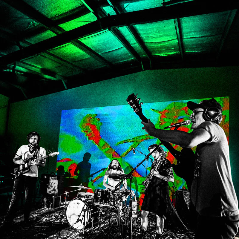 Frankie And The Witch Fingers - Levitation Sessions (Vinyl LP)