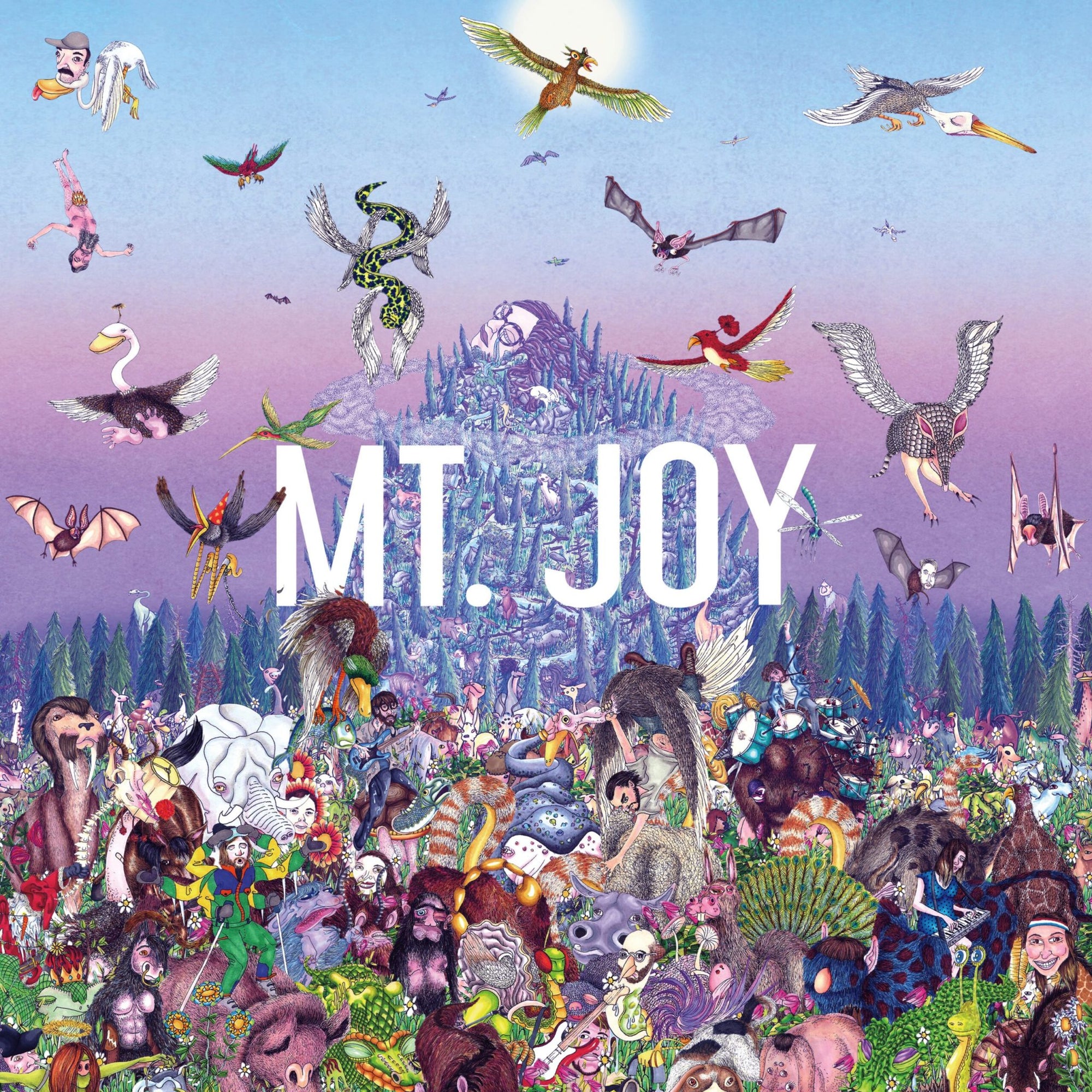 Mt. Joy - Rearrange Us (Vinyl LP)
