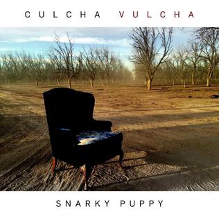 Snarky Puppy - Culcha Vulcha (Vinyl 2LP)