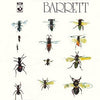 Syd Barrett - Barrett (Vinyl LP Record)