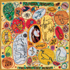 Joanna Newsom - The Milk-Eyed Mender (Vinyl LP)