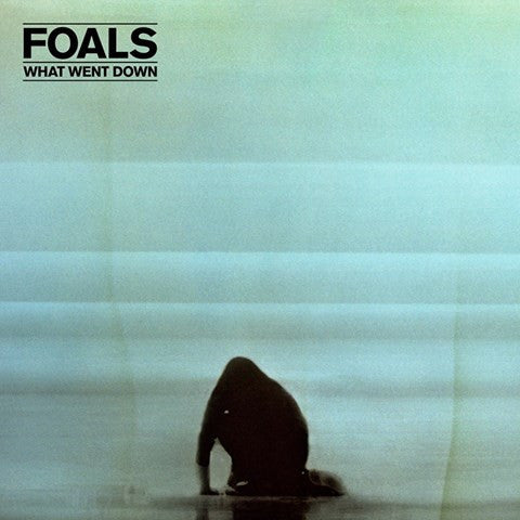 Foals - What Went Down (Vinyl LP)
