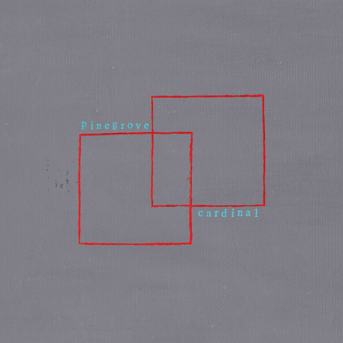 Pinegrove - Cardinal (Vinyl LP)