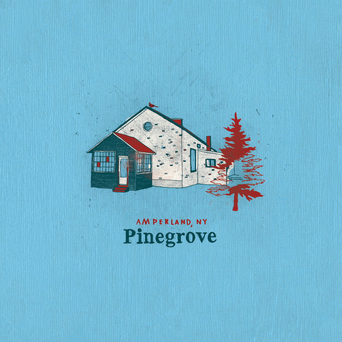 Pinegrove - Amperland, NY (Vinyl LP)