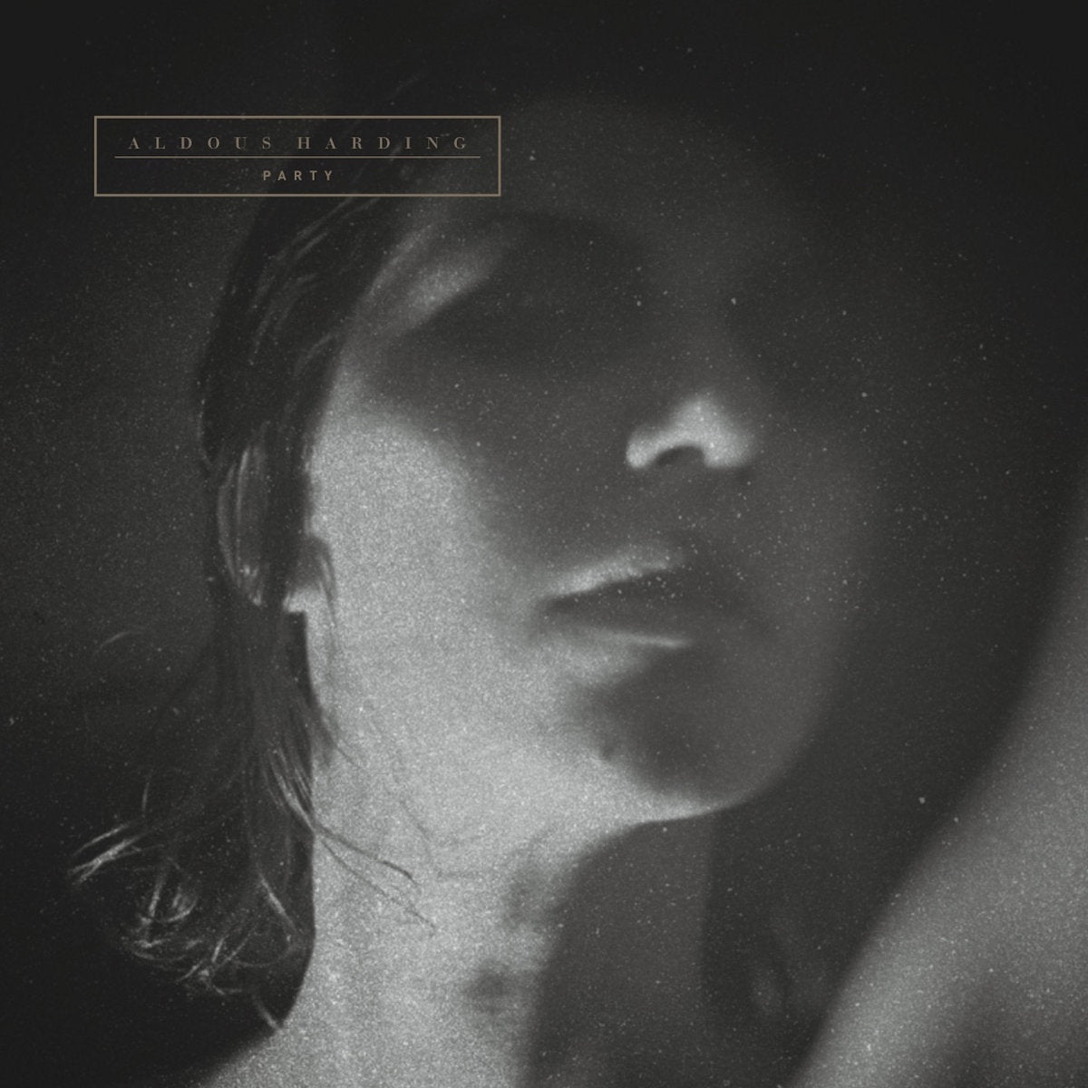 Aldous Harding - Party (Vinyl LP)