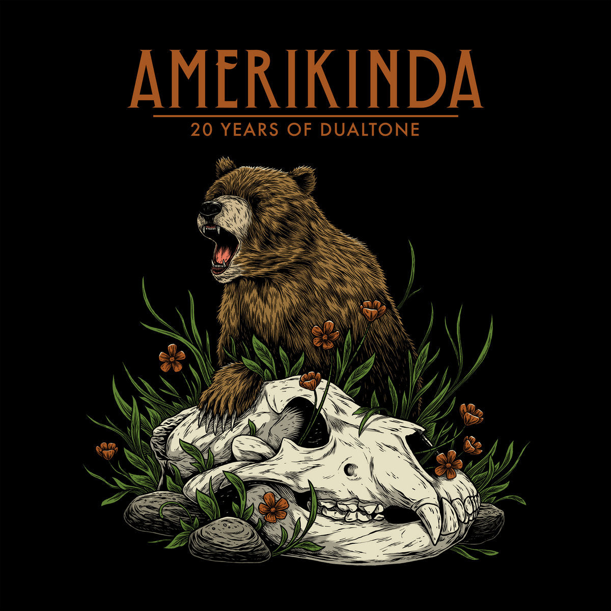 Various Artists - Amerikinda: 20 Years of Dualtone (Vinyl 2LP)