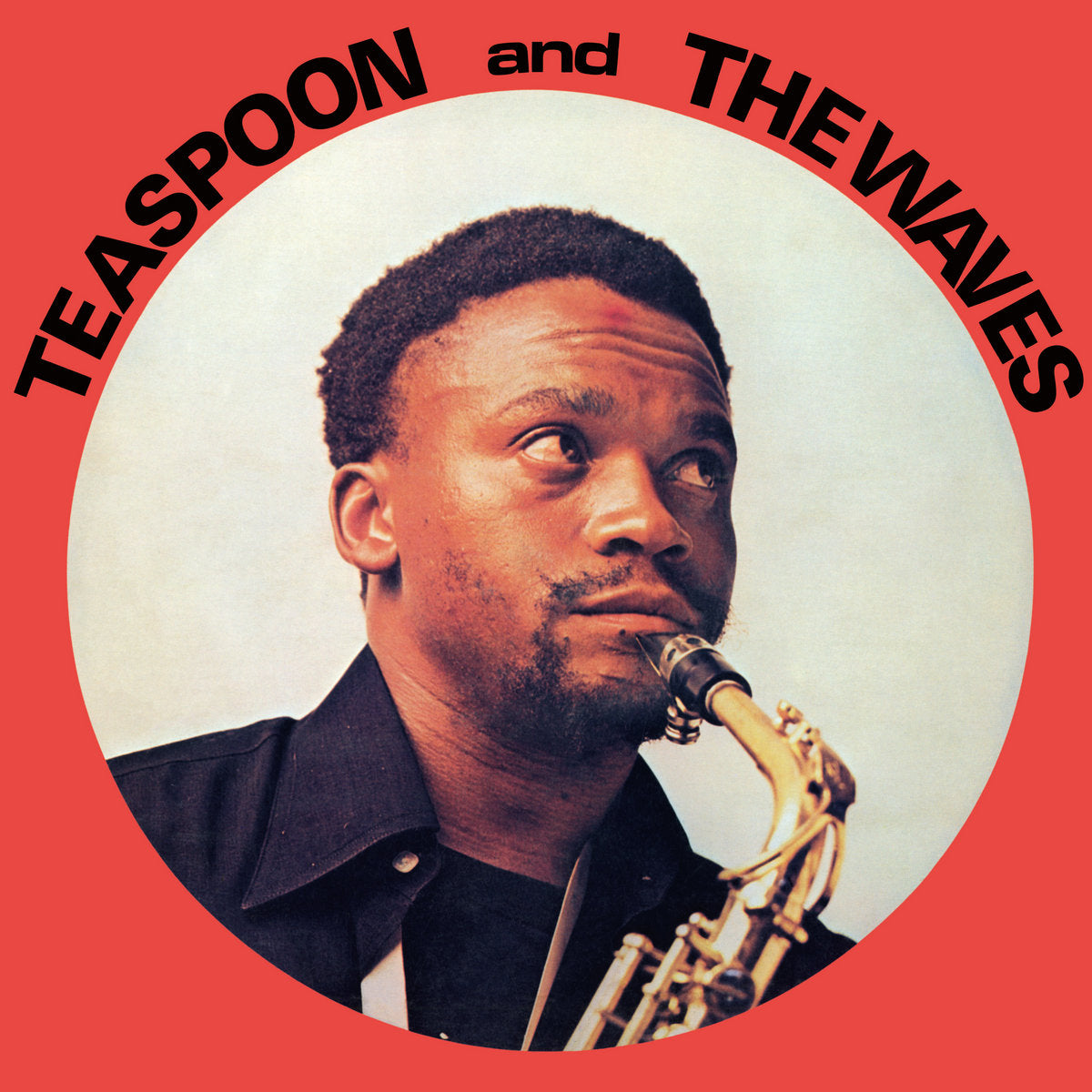 Teaspoon and The Waves (Vinyl LP)