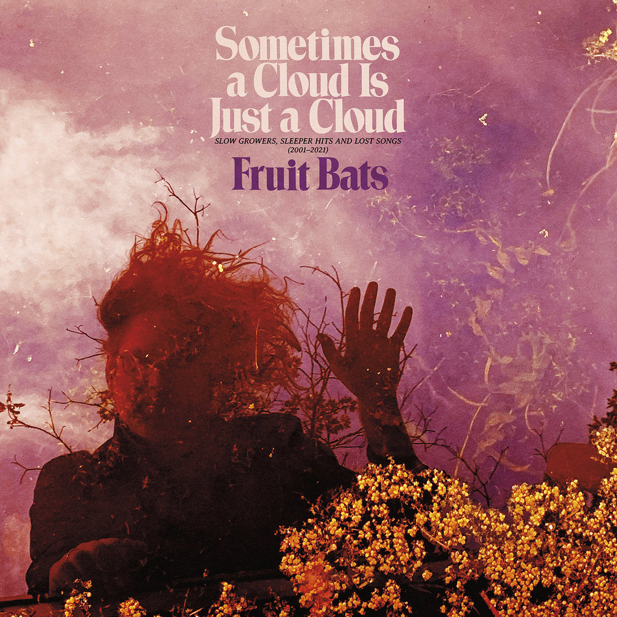 Fruit Bats - Sometimes a Cloud is Just a Cloud (Vinyl 2LP)
