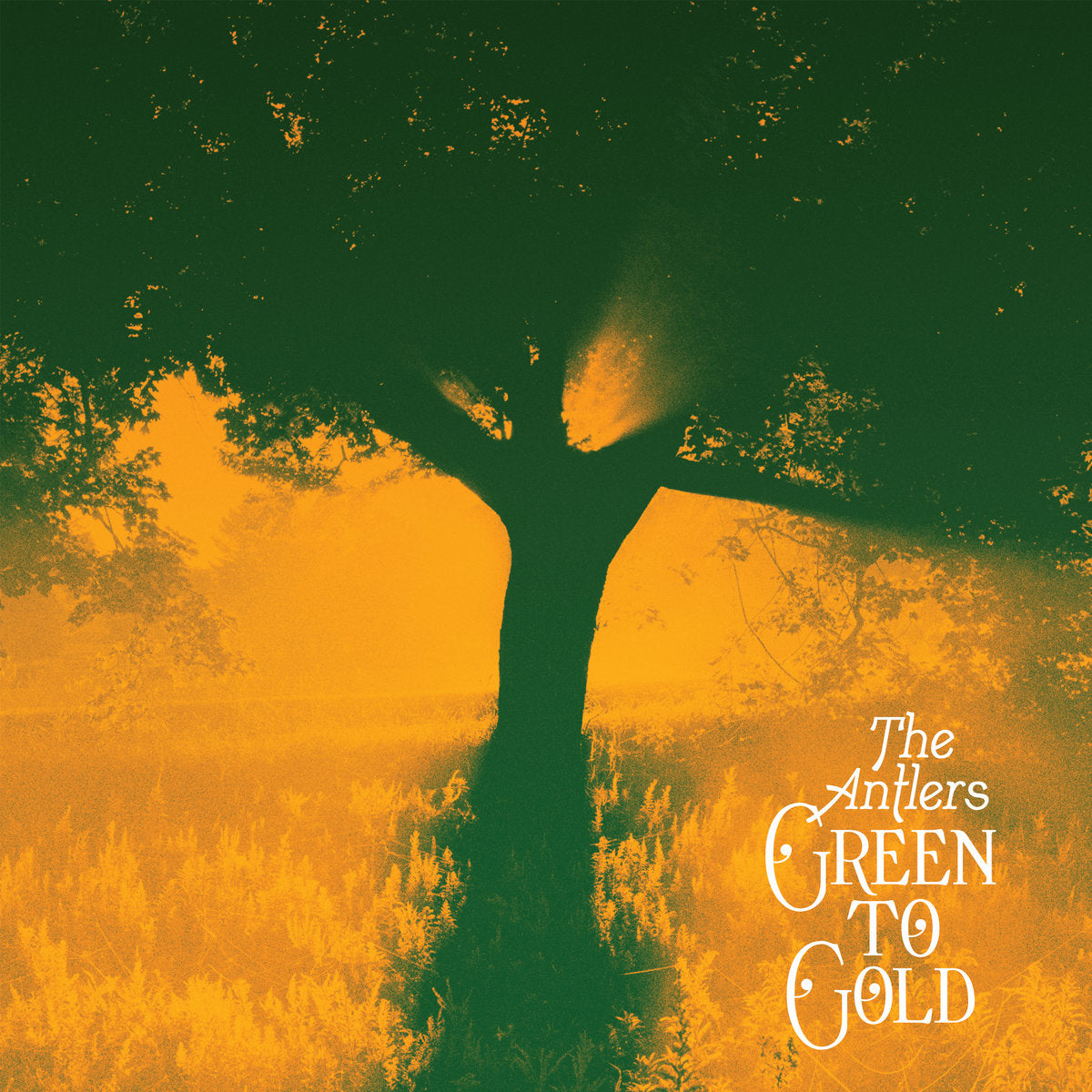 Antlers - Green to Gold (Vinyl LP)