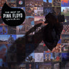 Pink Floyd - A Foot In The Door (Vinyl 2LP)