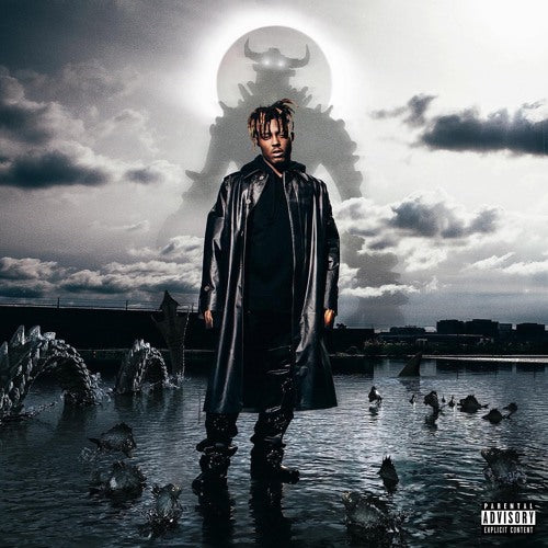 Juice Wrld - Fighting Demons (Vinyl 2LP)