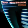 A Place to Bury Strangers - Hologram (Vinyl LP)