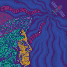 Steve Poltz - Stardust + Satellites (Vinyl LP)