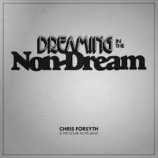 Chris Forsyth - Dreaming in the Non-Dream (Vinyl LP)