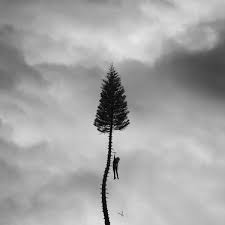 Manchester Orchestra - A Black Mile to the Surface (Vinyl LP)