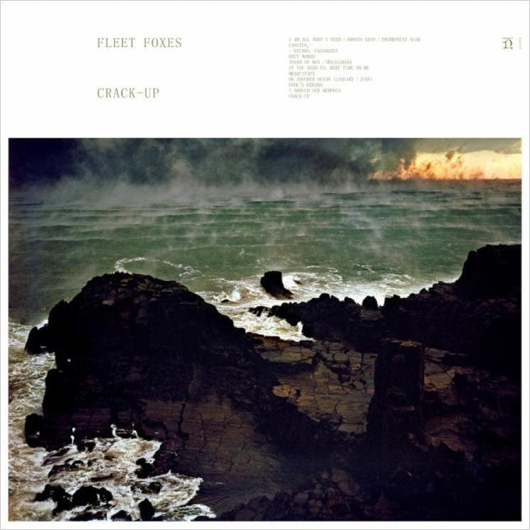 Fleet Foxes - Crack-Up (Vinyl 2LP)