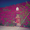Feist - Pleasure (Vinyl LP Record)