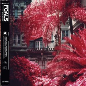 Foals - Everything Not Saved ... (Vinyl LP Record)