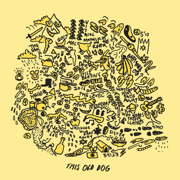 Mac Demarco - This Old Dog  (Vinyl LP)