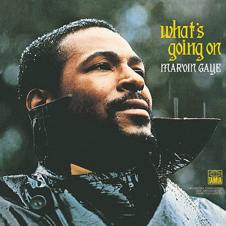 Marvin Gaye - What's Going On (Vinyl LP)