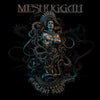 Meshuggah - The Violent Sleep of Reason (Vinyl 2LP Record)