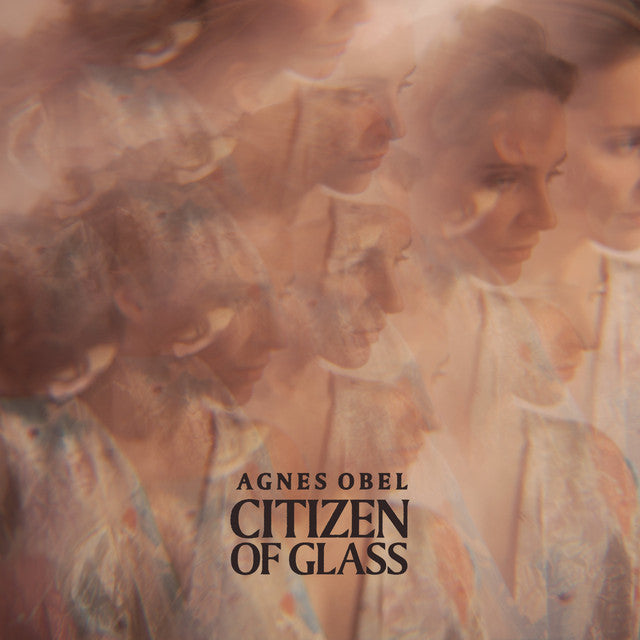 Agnes Obel - Citizen of Glass (Vinyl LP)